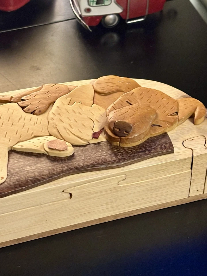 Caja rompecabezas Carver Dan's Best Friends con cierres magnéticos Foto 2 de 4