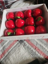 Christmas Apple Ornaments