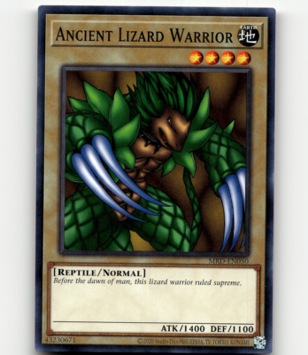 yugioh reptile support cards Complete Custom Deck for Yu-Gi-Oh! 5D's All cards will be carefully packed for safe transit Yu-Gi-Oh custom card artwork
