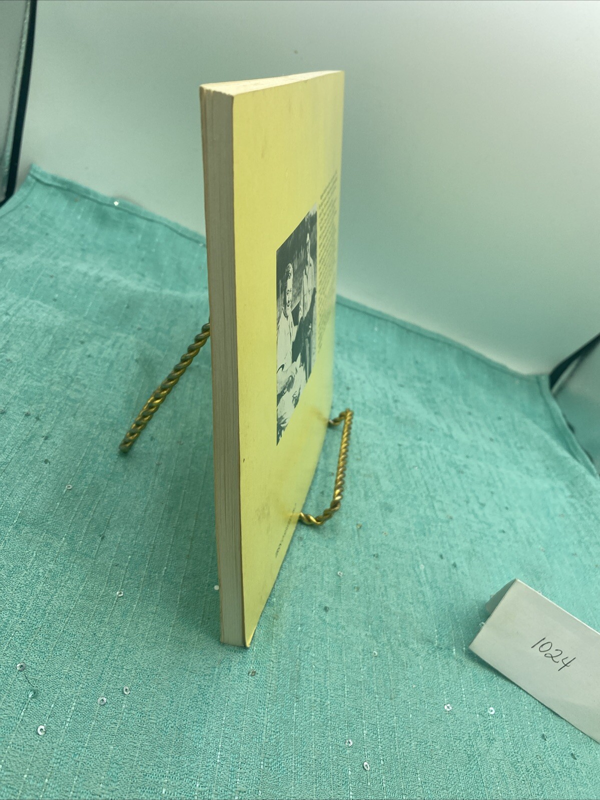 Bild 6 von 13