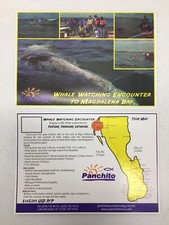 Panchito Tours Rencontre d'observation des baleines à la baie de Magdalena carte de visite lot de 2