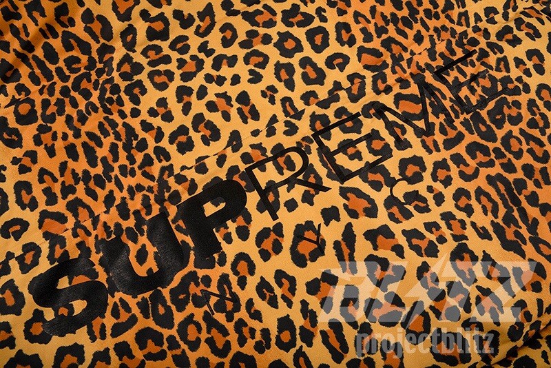 FW20 SUPREME GORE-TEX 700-FILL DOWN PARKA JACKET LEOPARD