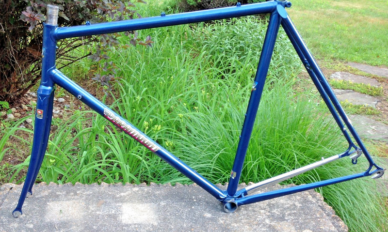 Schwinn Paramount 1983 Rainbow Decal Serial # G8357  Columbus Cinelli Campy
