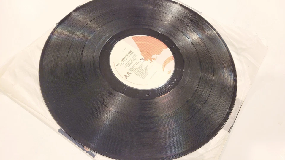 Celebrate The Nun – Will You Be There - LP-Vinyl- 1989 Enigma 12”- free shipping - Image 3 of 4