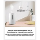 Bild 7 von 12