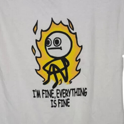 LARGE Men's Graphic Tee I'm Fine, Everthing is Fine Funny Shirt