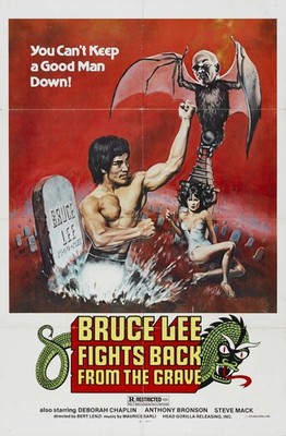 Bruce Lee kämpft zurück aus dem Grab 01 Filmposter Kunstdruck Anime Action PopC