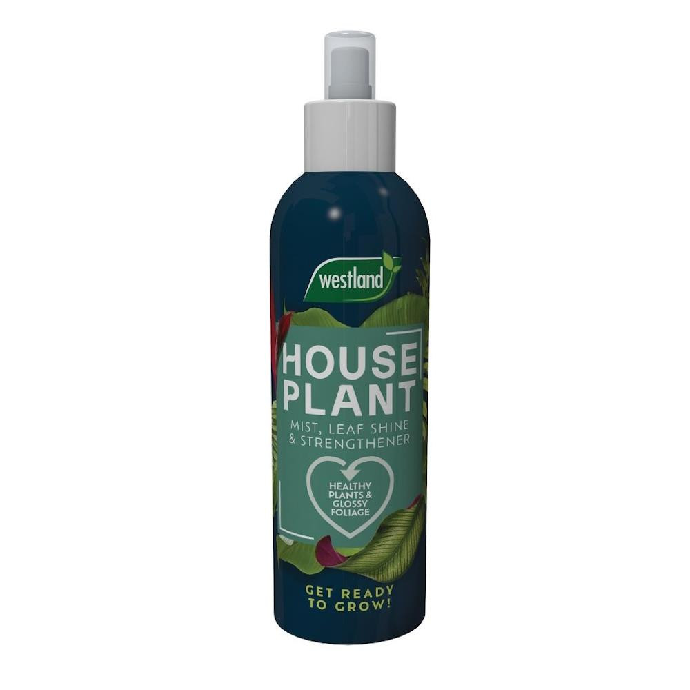 Houseplant Mist & Leaf shine 250ml 250ml, Clear - Image 3