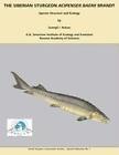 The Siberian Sturgeon on Acipenser Baerll Brandt von Georgii I. Ruban