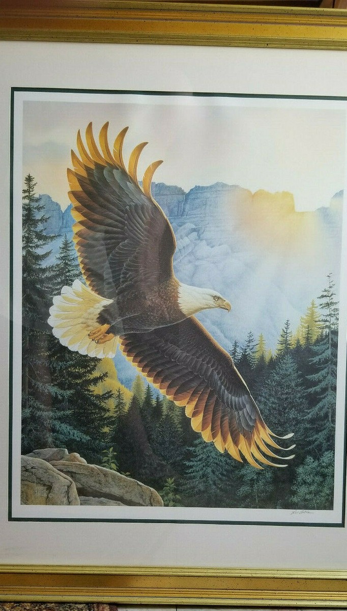 FRANKLIN MINT COMMISSIONED FRAMED EAGLE MORNING MAJESTY BY LEE