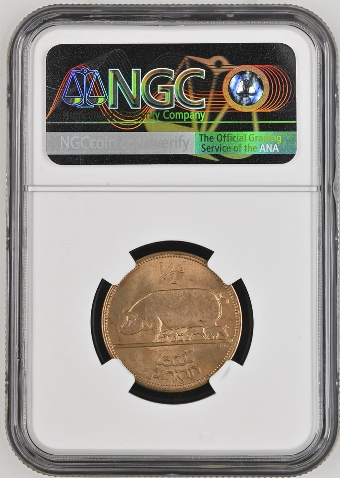 1949 IRELAND 1/2 PENNY NGC MS64 RB. - Image 2 of 2