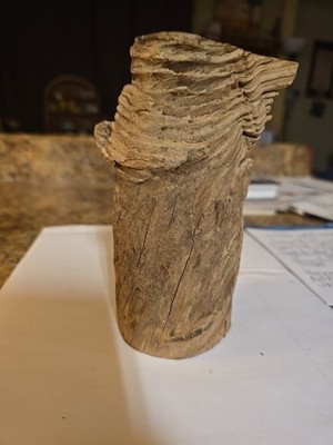 Unique & Creative Retro Dead Wood/Wooden Flower Carved Vase ''One Of A Kind'' 6 ''