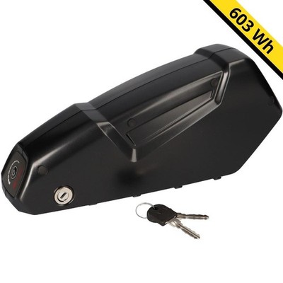 Alber Xion - 36V 16,8Ah (603Wh) Unterrohr E-Bike Akku Kalkhoff Raleigh