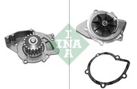 INA Wasserpumpe FüR CitroËN Fiat Ford Lancia Peugeot Volvo