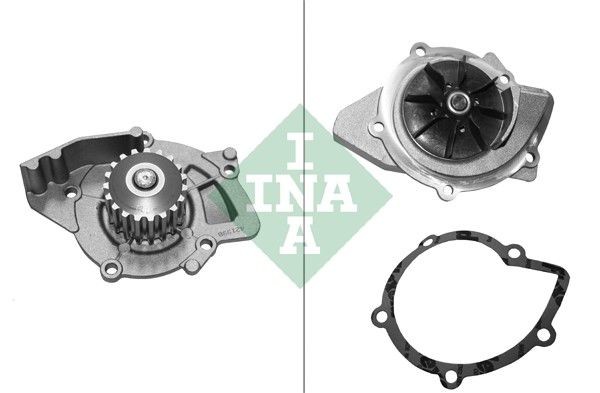 INA Wasserpumpe FüR CitroËN Fiat Ford Lancia Peugeot Volvo-image