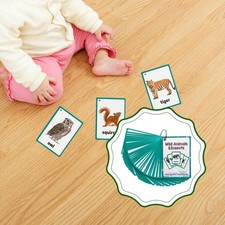 48x Animals Flash Cards English Flashcards for Pre Kindergarten