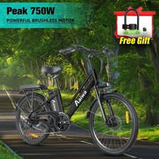 24" Fat Tire Electric Bikes for Adults 750W 22MPH 60Miles Mountain E-bike Black
