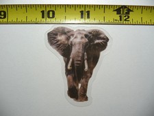 AFRICAN ELEPHANT SMALL STICKER DECAL WILDLIFE COLORFUL ZOO FUNNY