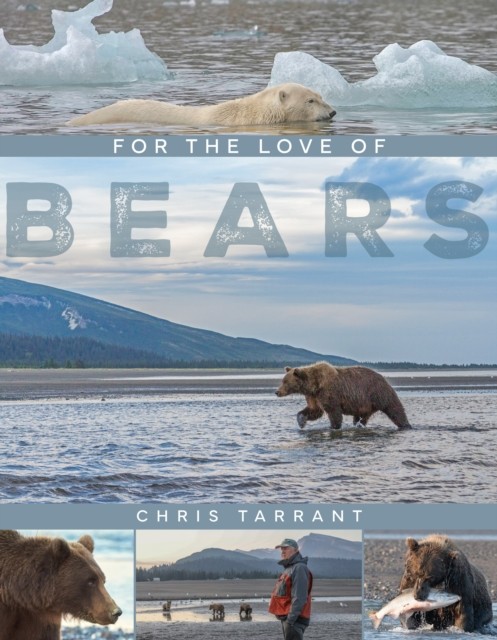 For The Love Of Bears