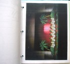 Bild 12 von 20