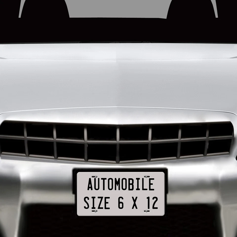 Personalize Custom License Plate Tag for Any State Auto Car Motorcycle ATV Moped - Image 4 of 4