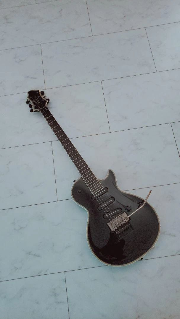 Edwards E-Cl-S-I Sugizo Model | eBay