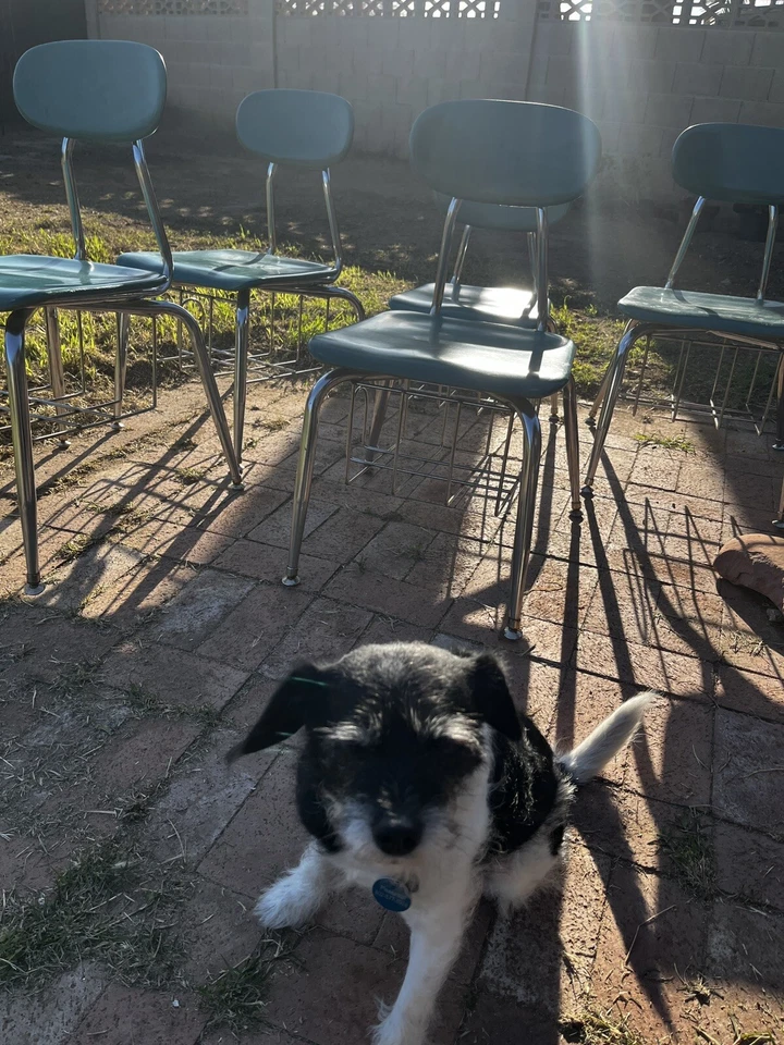 Винтажный MELSUR середины века современный бирюзовый хром школьные стулья с книга корзина лот - Изображение 4 из 4