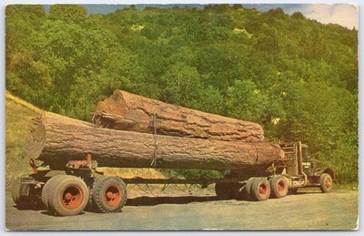 Vintage Kodachrome Postcard Logging Truck with Large Logs Berkeley CA