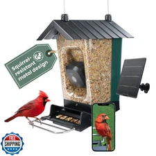 Perky-Pet Solar Powered Smart Bird Feeder with Camera - Squirrel-
