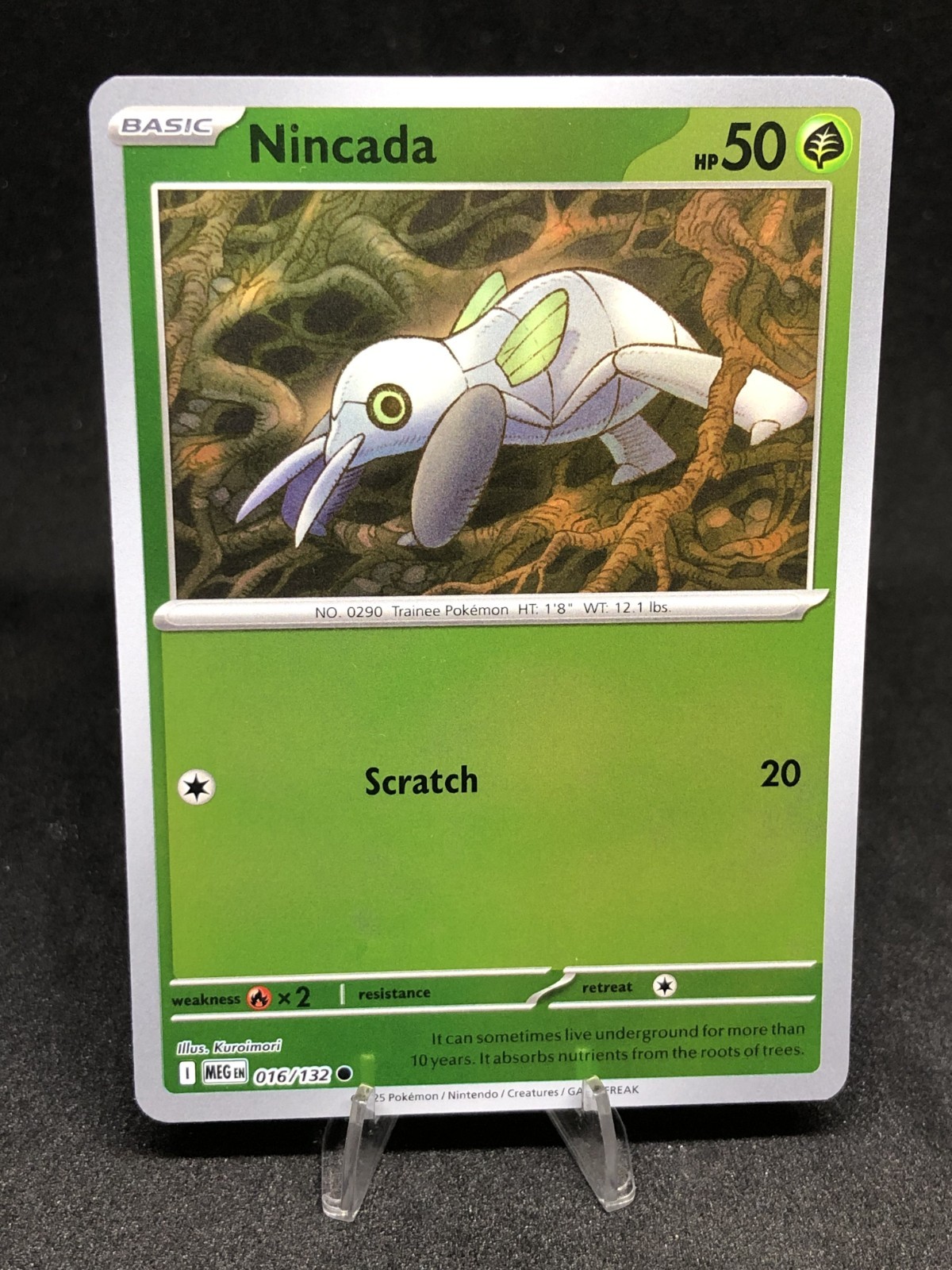 Pokémon TCG Nincada 016/132 Mega Evolutions Reverse Holo NM