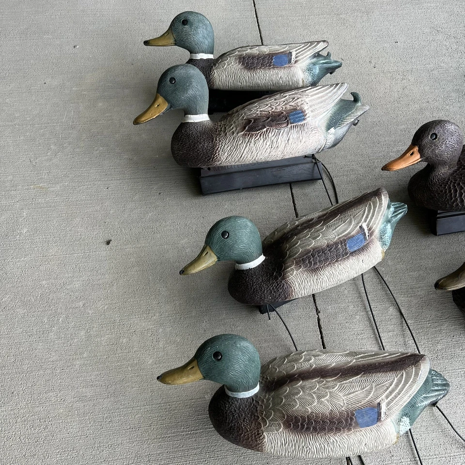 Flambeau Plástico Pato Señuelos Cuerpo Hueco Mallards Hacer y Mujer Lote De Colección Foto 3 de 4