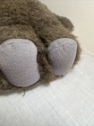Foto 12 di 13