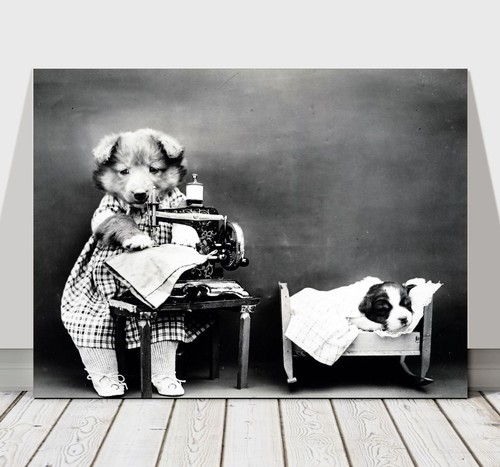 CUTE VINTAGE Black & White Dogs Dressed Up - CANVAS ART PRINT POSTER - 24x16"
