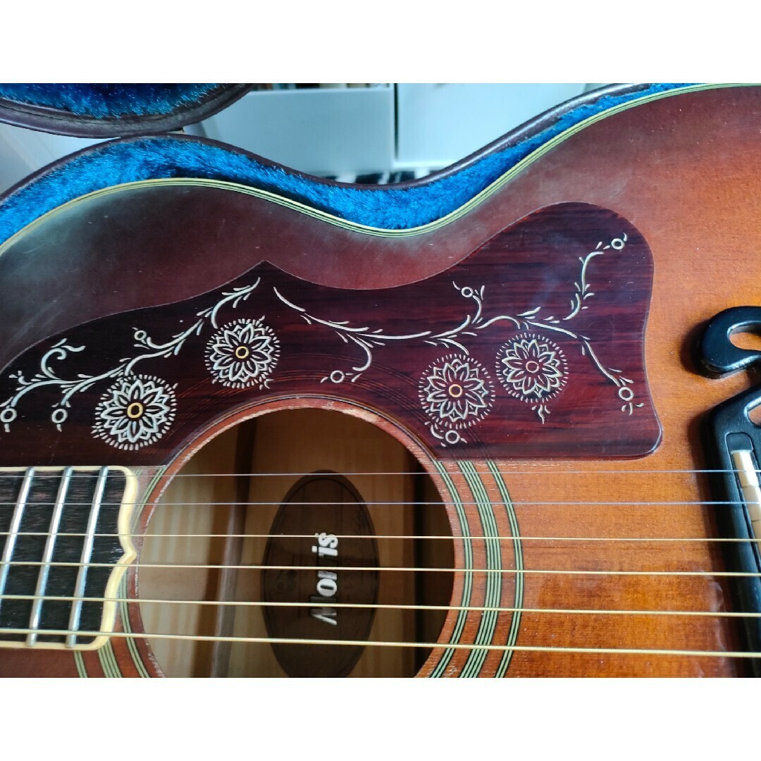 キング・オブ・フラットトップ J-200モデル Morris J-130 E Morris J-130E