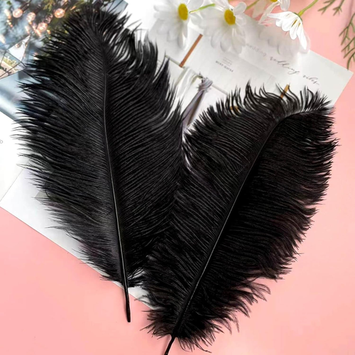 20 Pcs Natural Black Ostrich Feathers 10-12 Inch(25-30 Cm) Bulk for DIY - 第 3/12 張圖片