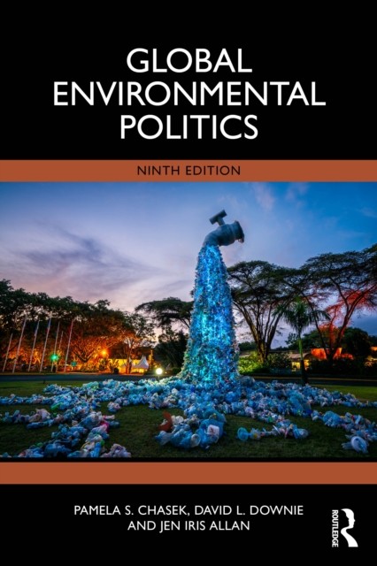 Global Environmental Politics Pamela S. Chasek - Image 4