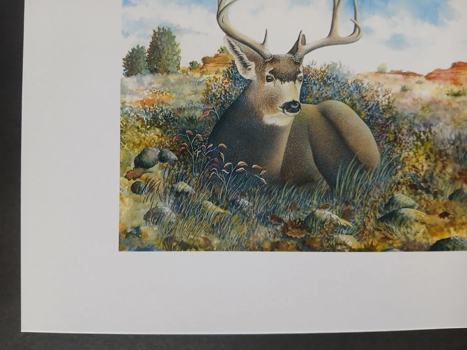 Mule Deer Print - Small - Image 2 of 4