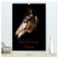 Chevaux En Portraits (Calendrier Mural 2026 DIN A2 Horizontal) Calendrier De Bu