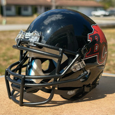 BC Lions Custom Schutt Mini Football Helmet - CFL