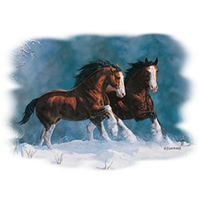 Snow Kings  Clydesdales Horse   Hooded Sweatshirt  Sizes/Colors  