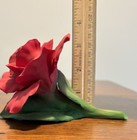 Bild 9 von 9