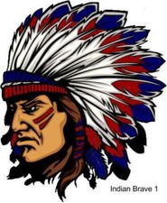 LARGE-SIZED CAR DECALS - INDIAN BRAVE - 2 CHOICES