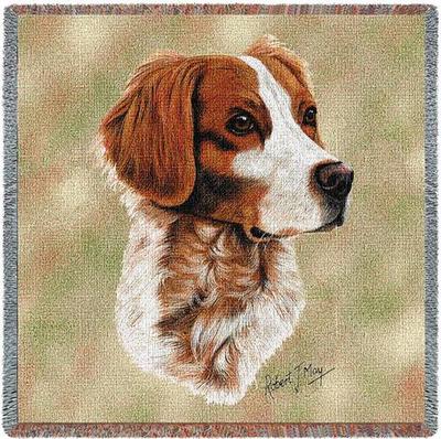 Lap Square Blanket Brittany by Robert May 1154 IN STOCK