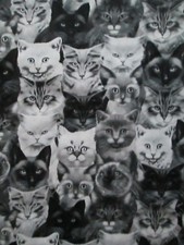 CATS ASSORTED PACKED CAT FACES BLACK WHITE GRAY COTTON FABRIC FQ