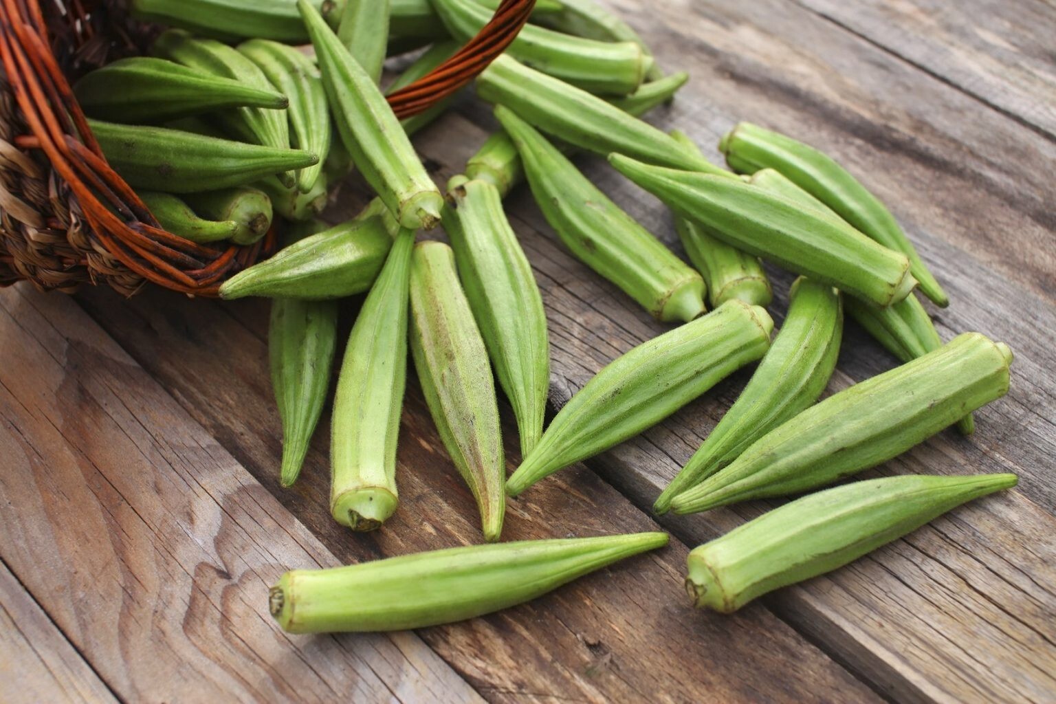 100+ Emerald Okra Seeds HEIRLOOM NON GMO FRESH eBay