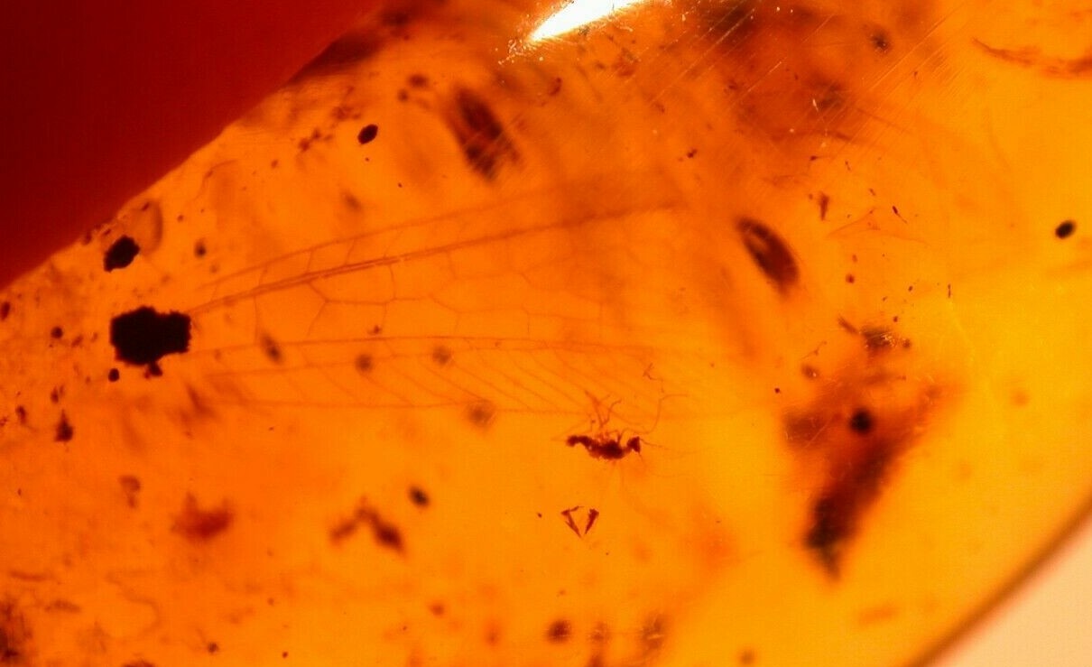 Foto 3 di 8