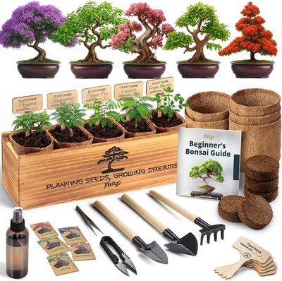 Bonsai Tree Kit for Beginners   5X Unique Japanese Bonzai Trees