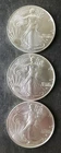 Lot of Three 2026 $1 American Silver Eagle Dollars