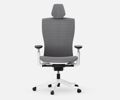 Autonomous ErgoChair Ultra 2 Plus,Gray, Shipping from the USA