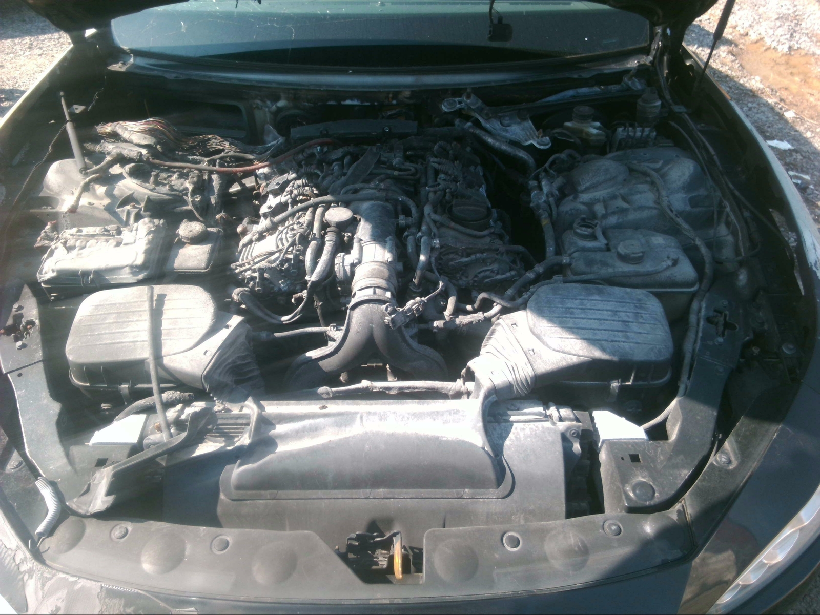 Rear Seat Belt MASERATI Left 15